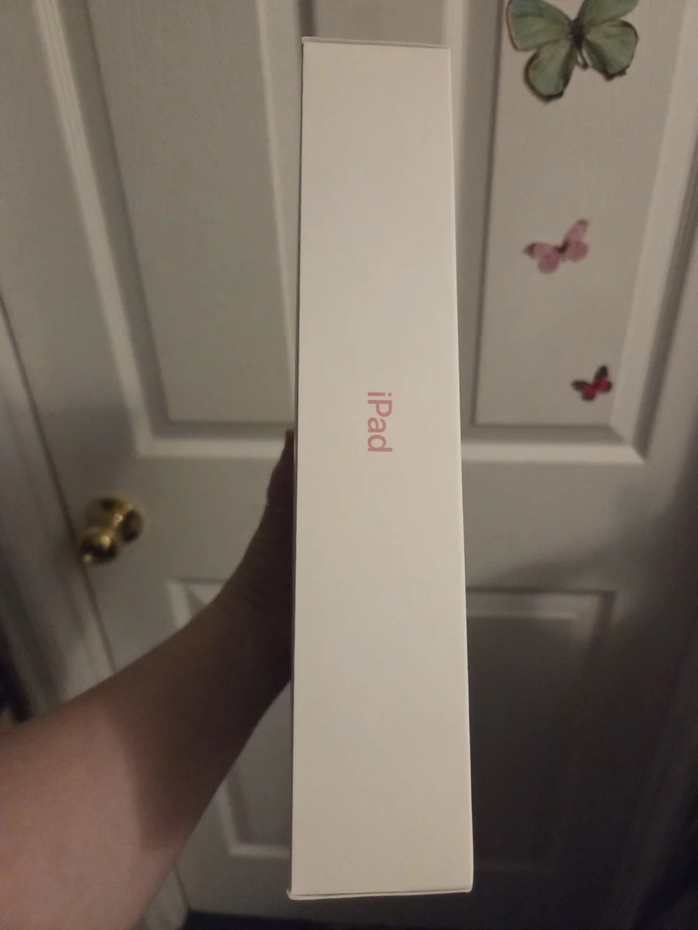 Apple iPad box JUST THE BOX